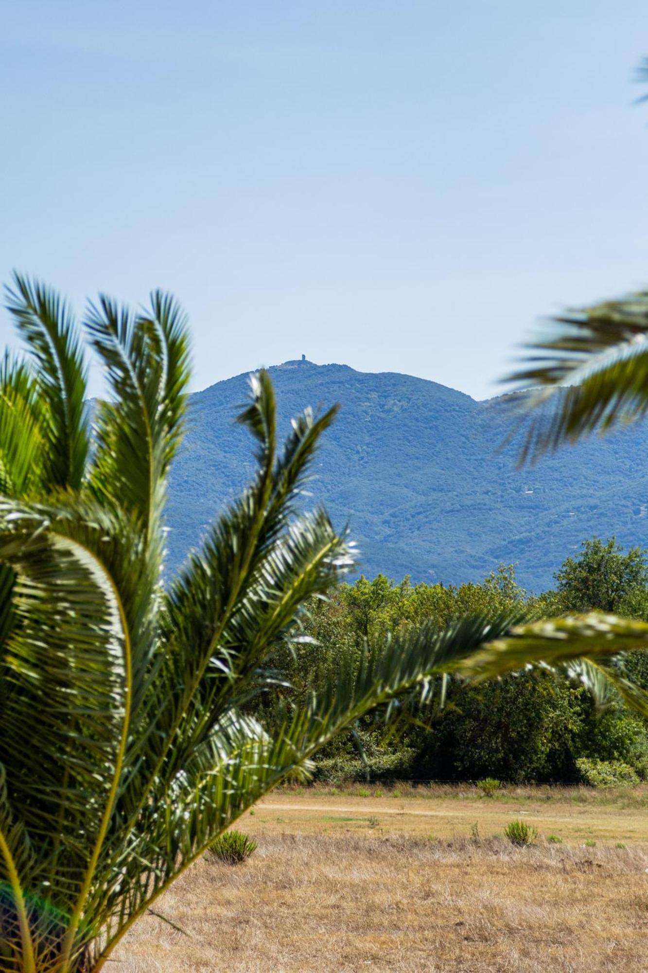 Residence Antinea Argelès-sur-Mer Dış mekan fotoğraf